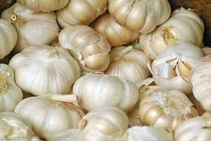 Pengamat: Perlu kebijakan fleksibel terkait impor bawang putih Pengamat: Perlu kebijakan fleksibel terkait impor bawang putih