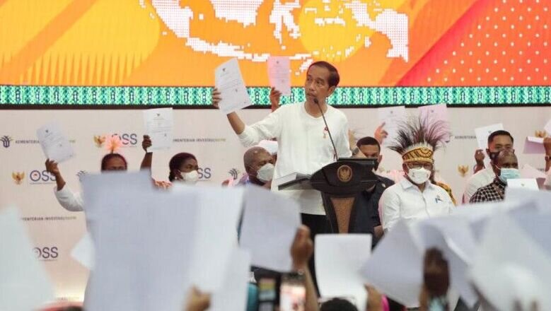Presiden Jokowi serahkan NIB bagi 171 nasabah PNM Jayapura