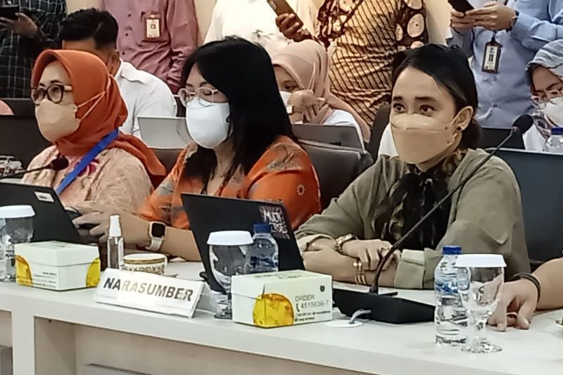 PDSKJI DKI: Pemerintah perlu kawal penerapan UU Kesehatan Jiwa