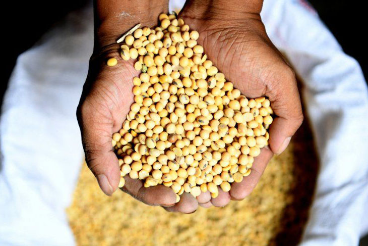 Badan Pangan Nasional segera tetapkan kebijakan harga kedelai Badan Pangan Nasional segera tetapkan kebijakan harga kedelai