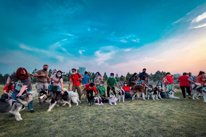 Habiskan akhir pekan bersama anabul di The Jakarta Dog Show 2022 Habiskan akhir pekan bersama anabul di The Jakarta Dog Show 2022