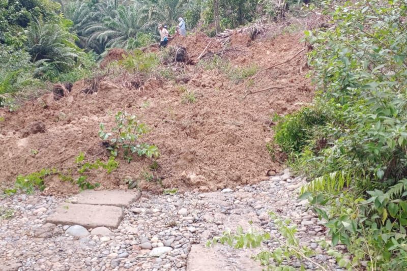 Dua truk bermuatan sawit di Mukomuko terjebak longsor Dua truk bermuatan sawit di Mukomuko terjebak longsor