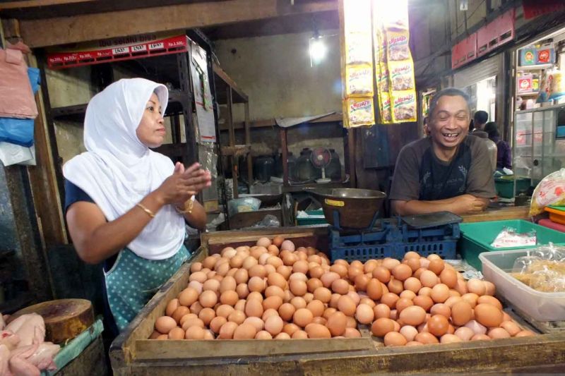 Harga telur ayam di Jember perlahan mulai turun Harga telur ayam di Jember perlahan mulai turun