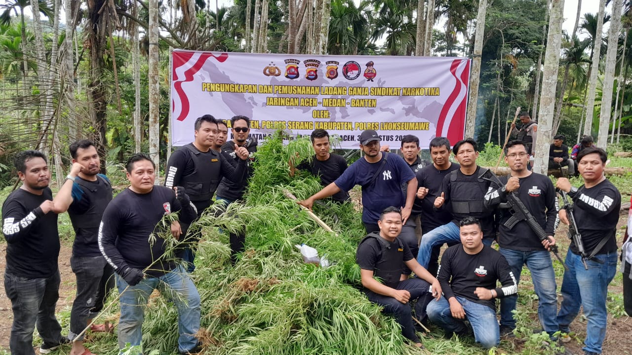 Ditresnarkoba Polda Banten temukan tiga hektar ladang ganja di Lhokseumawe Ditresnarkoba Polda Banten temukan tiga hektar ladang ganja di Lhokseumawe