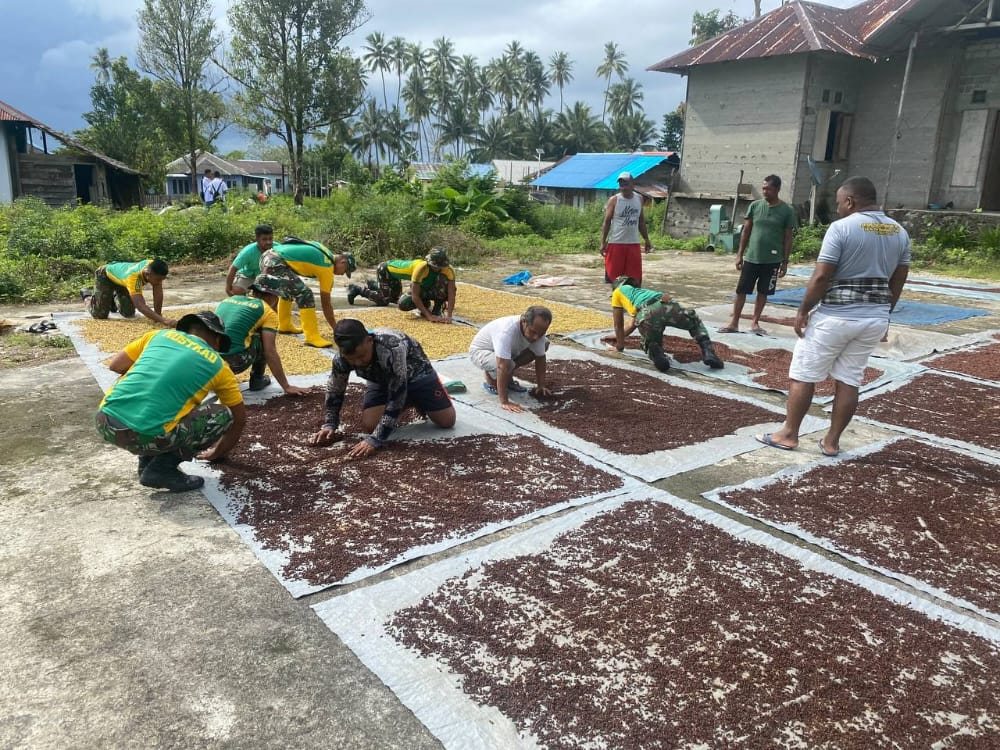 Satgas Yonarmed 1 Kostrad bantu warga Desa Waelikut panen cengkeh Satgas Yonarmed 1 Kostrad bantu warga Desa Waelikut panen cengkeh