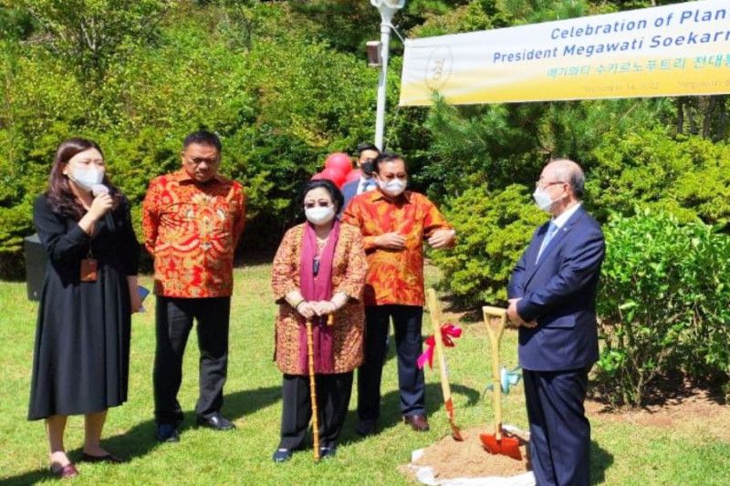 Megawati ajak masyarakat cintai lingkungan dengan menanam pohon Megawati ajak masyarakat cintai lingkungan dengan menanam pohon