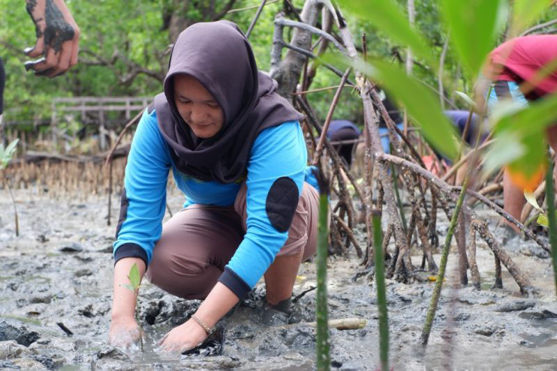 Saskia, perempuan pejuang mangrove dari Lantebung Saskia, perempuan pejuang mangrove dari Lantebung