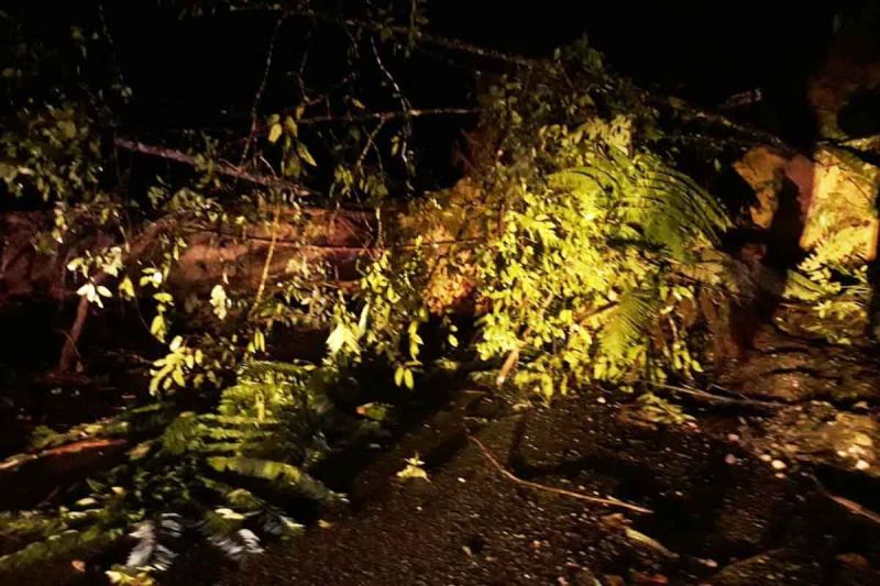 Lintasan Takengon-Blangkejeren putus total akibat longsor Lintasan Takengon-Blangkejeren putus total akibat longsor