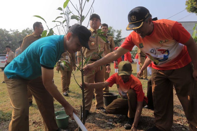 DKP Tangerang tambah bibit pohon kepada masyarakat atasi polusi DKP Tangerang tambah bibit pohon kepada masyarakat atasi polusi