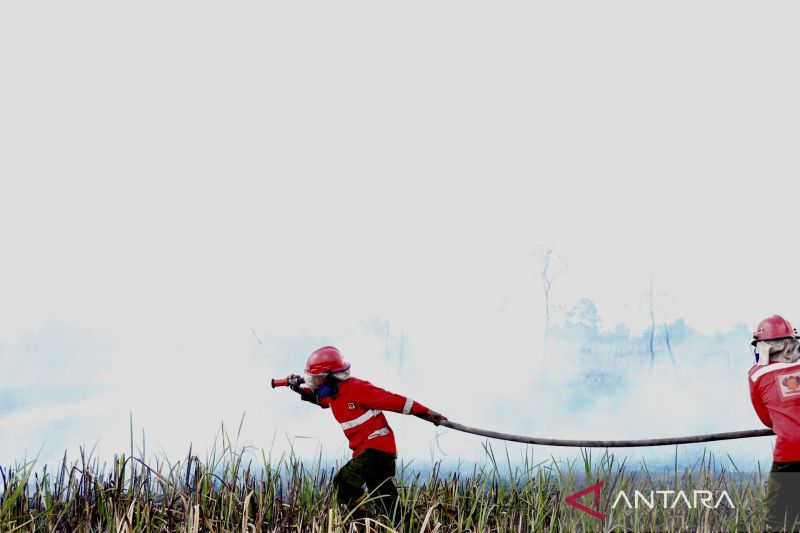 Petugas gunakan detergen padamkan karhutla di Kalsel akibat minim air Petugas gunakan detergen padamkan karhutla di Kalsel akibat minim air