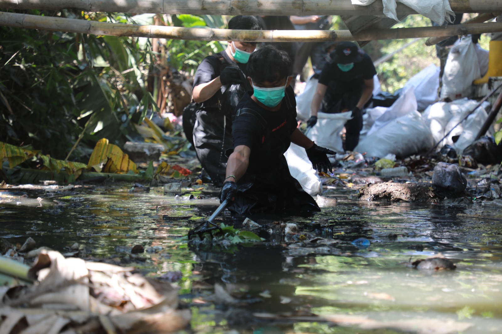 Jelang perayaan HUT ke-78 RI, SiCepat gelar aksi bersih-bersih Merdeka dari Sampah