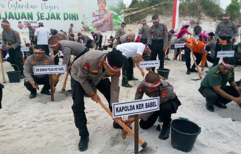 10.000 bibit pohon ditanam untuk hijaukan lahan kritis Bangka Belitung 10.000 bibit pohon ditanam untuk hijaukan lahan kritis Bangka Belitung