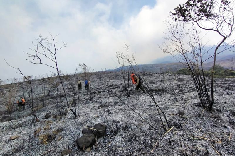 Pendakian Gunung Arjuno ditutup akibat kebakaran hutan Pendakian Gunung Arjuno ditutup akibat kebakaran hutan