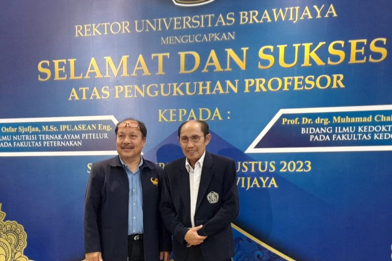 Ahli sebut karies gigi pada anak berkorelasi dengan stunting