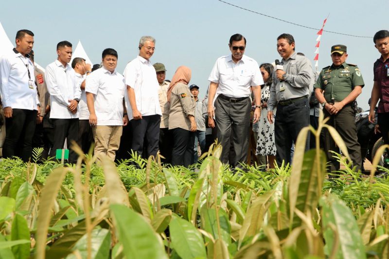 Luhut pastikan ambil langkah terpadu tangani deforestasi dan sampah Luhut pastikan ambil langkah terpadu tangani deforestasi dan sampah