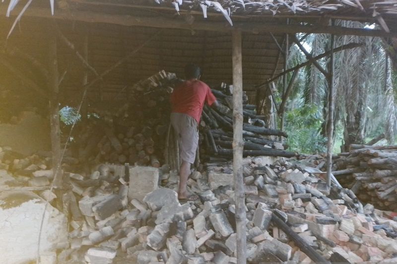 Polda Sumut tangkap pelaku pembalak hutan mangrove di Langkat