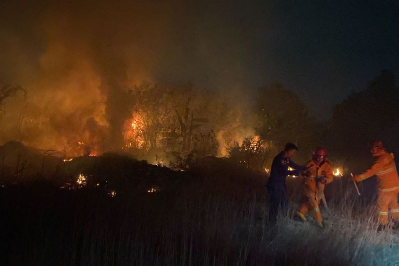 Intensitas kebakaran lahan cukup tinggi di Bandarlampung