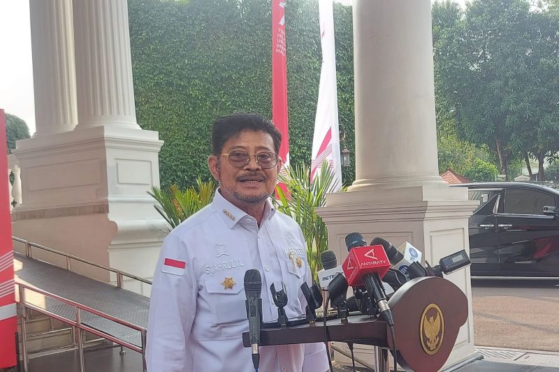 Pemerintah siapkan 500 ribu hektar lahan untuk antisipasi El Nino Pemerintah siapkan 500 ribu hektar lahan untuk antisipasi El Nino