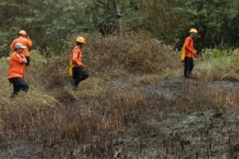 Petugas gabungan padamkan kebakaran lahan hutan di Subang Petugas gabungan padamkan kebakaran lahan hutan di Subang