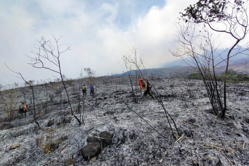 Pemadaman Gunung Arjuno terkendala ketinggian dan angin Pemadaman Gunung Arjuno terkendala ketinggian dan angin