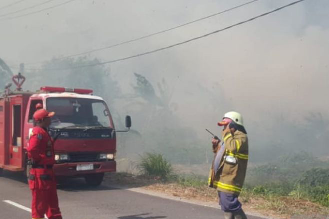 Damkar Belitung padamkan api yang membakar hutan seluas tiga hektare