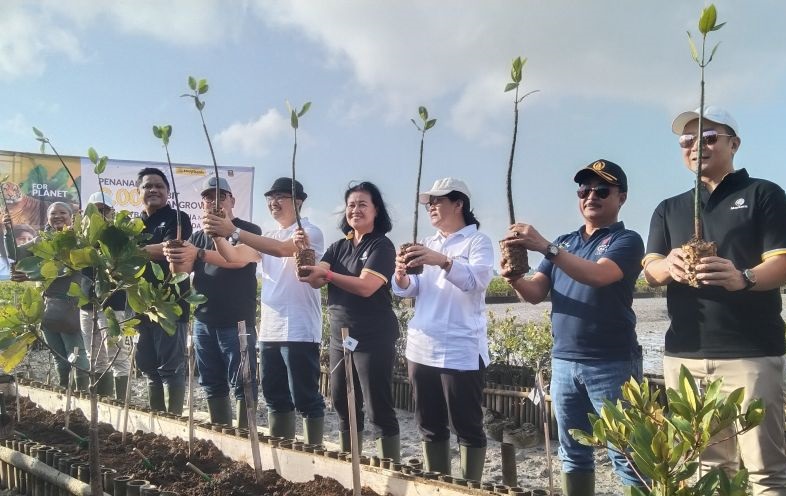 Maybank Indonesia tanam 2.000 bibit mangrove di Benoa Bali Maybank Indonesia tanam 2.000 bibit mangrove di Benoa Bali