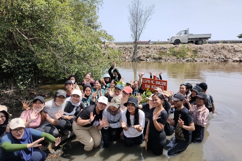 Mahasiswa pegiat lingkungan tanam ratusan bibit bakau di Cilincing Mahasiswa pegiat lingkungan tanam ratusan bibit bakau di Cilincing