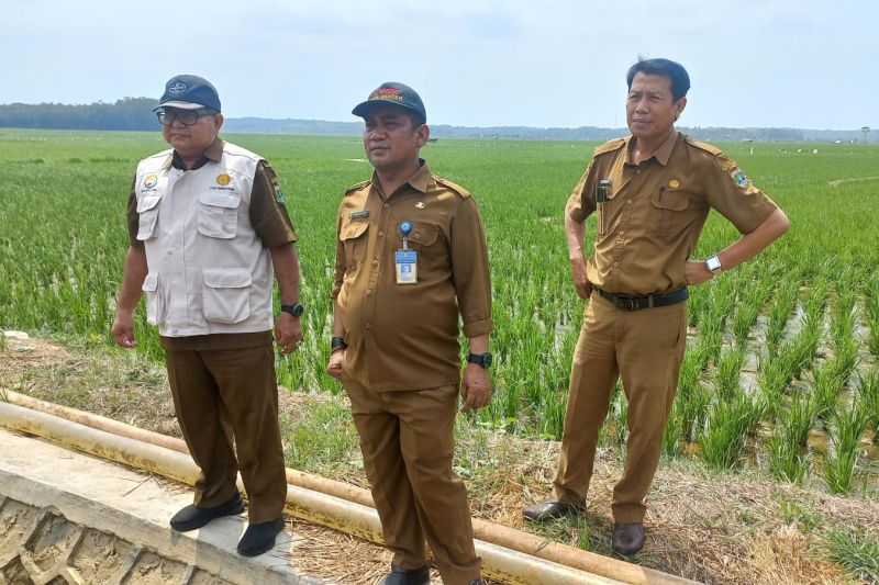Banten sediakan pinjaman pompa untuk bantu petani mengairi sawah