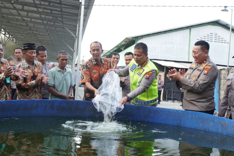 Polresta Sidoarjo tebar 5.000 benih lele di Bangah Polresta Sidoarjo tebar 5.000 benih lele di Bangah
