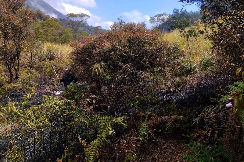 Petugas gabungan padamkan kebakaran lahan di sekitar Kawah Sikidang Petugas gabungan padamkan kebakaran lahan di sekitar Kawah Sikidang