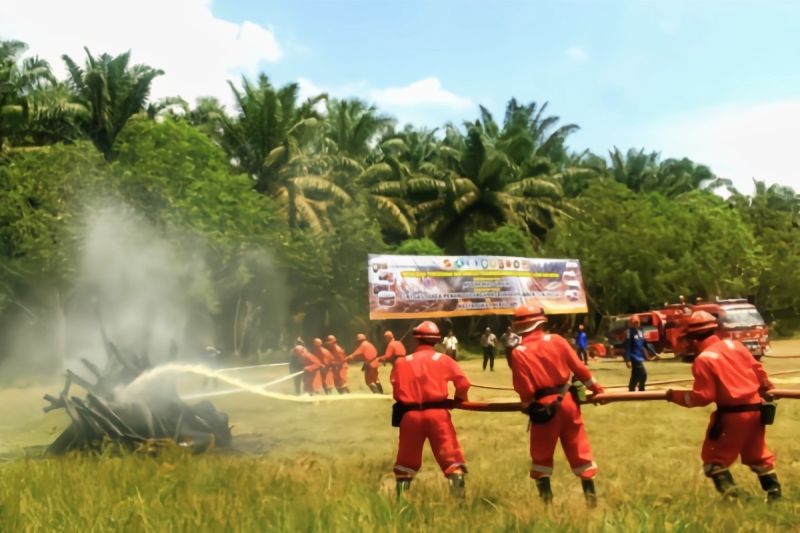 Kalimantan Tengah minta perusahaan perkebunan bantu atasi karhutla Kalimantan Tengah minta perusahaan perkebunan bantu atasi karhutla