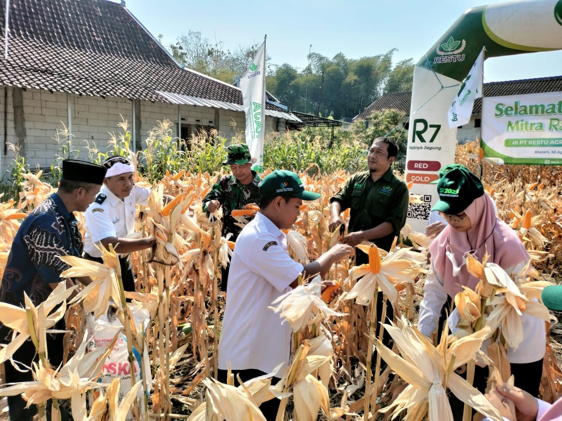 Wujudkan swasembada pangan, Babinsa bantu panen jagung petani Boyolali Wujudkan swasembada pangan, Babinsa bantu panen jagung petani Boyolali