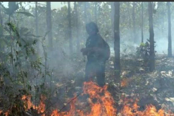 BPBD Ponorogo imbau warga tingkatkan kewaspadaan karhutla BPBD Ponorogo imbau warga tingkatkan kewaspadaan karhutla