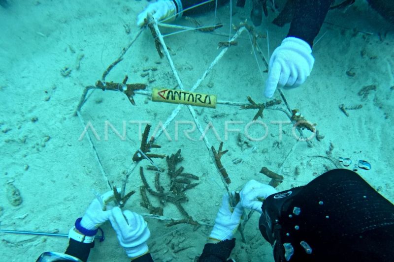 Sabang miliki 22 spot pesona bawah laut berkelas dunia Sabang miliki 22 spot pesona bawah laut berkelas dunia