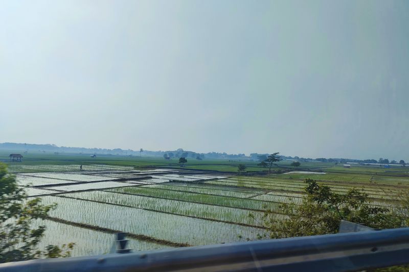 Pemprov Lampung minta petani manfaatkan hujan untuk jaga produktivitas Pemprov Lampung minta petani manfaatkan hujan untuk jaga produktivitas