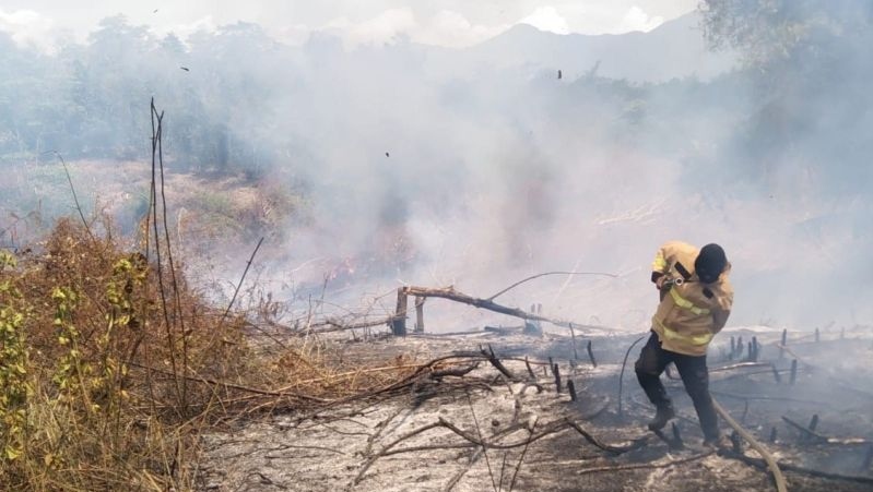 Delapan hektare lahan terbakar di Aceh Besar terbakar Delapan hektare lahan terbakar di Aceh Besar terbakar