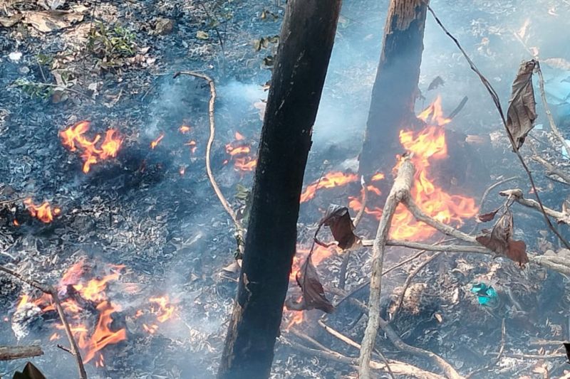 Sri Sultan minta masyarakat hati-hati buang puntung rokok di lahan tanaman kering Sri Sultan minta masyarakat hati-hati buang puntung rokok di lahan tanaman kering