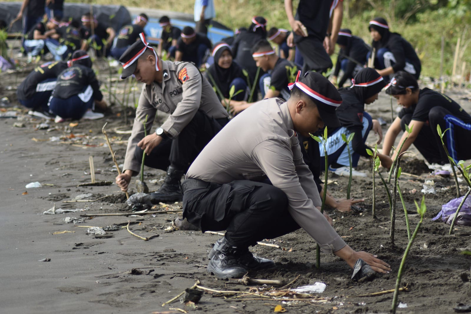 Pantai Pulau Kodok jadi sasaran penghijauan, Polres Tegal Kota tanam seribu pohon bakau
