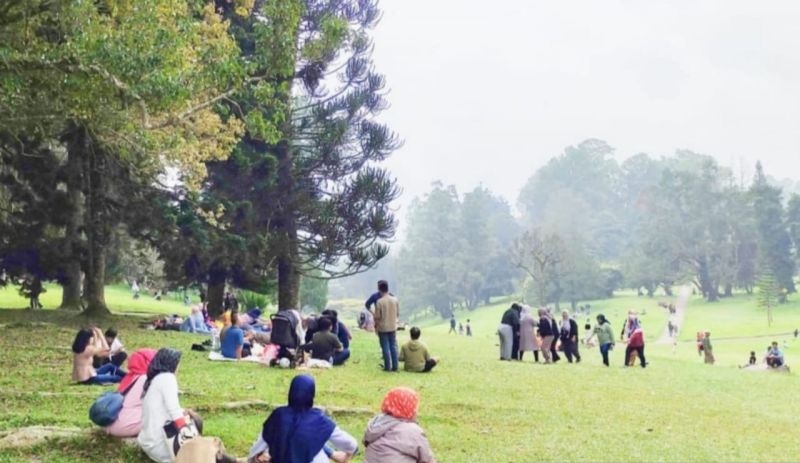 Kebun Raya Cibodas catat wisatawan asal Jakarta meningkat