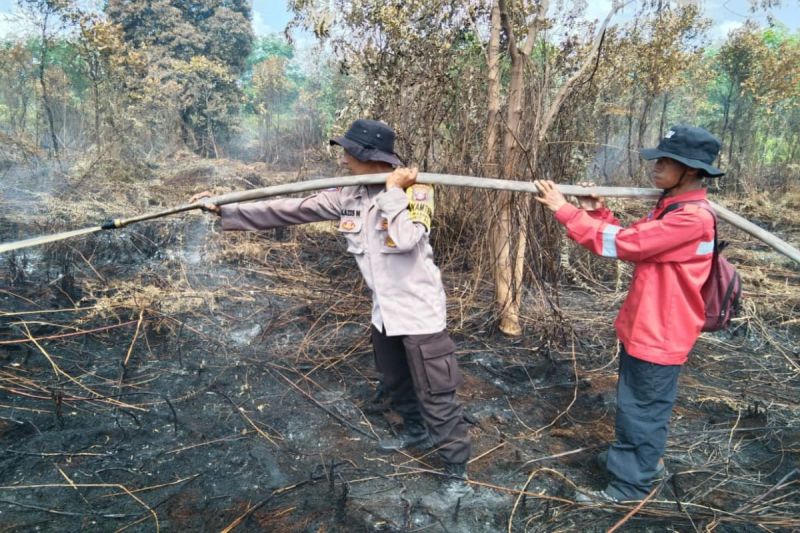 Tim Satgas berjibaku padamkan karhutla seluas 1,43 hektare di Palangka Raya