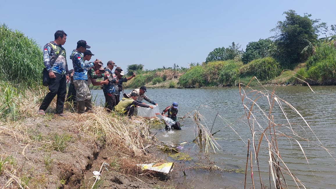 Lestarikan alam di HUT ke-78 RI, PMT tebar benih ikan di Pantura