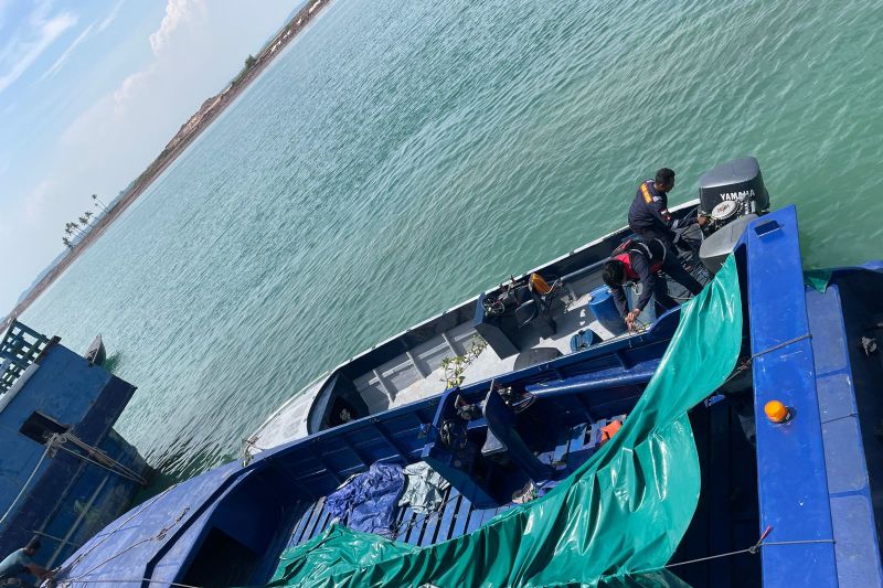 Bea Cukai gagalkan penyelundupan 60 ribu benih lobster di Batam Bea Cukai gagalkan penyelundupan 60 ribu benih lobster di Batam