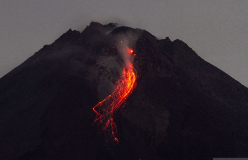 Merapi tujuh kali luncurkan guguran lava pijar Merapi tujuh kali luncurkan guguran lava pijar