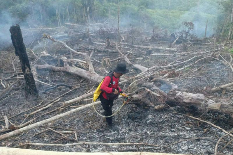 BMKG deteksi delapan titik panas di Kaltim