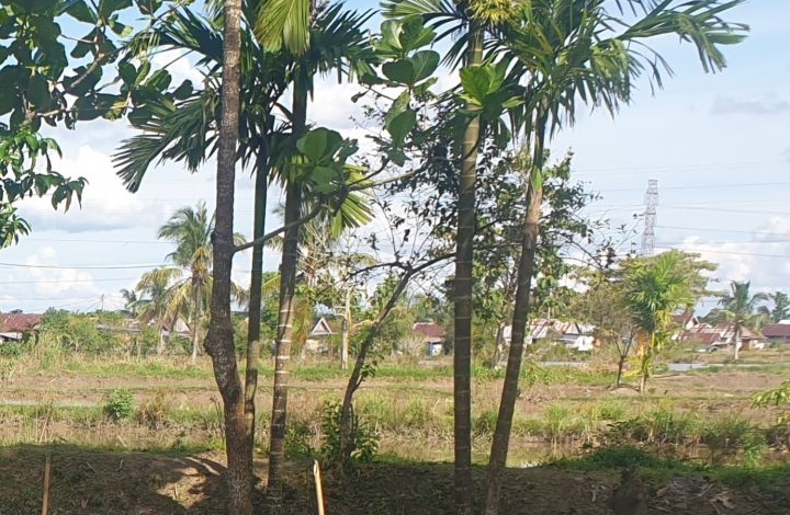BPBD Sumsel waspada sebaran titik panas meluas