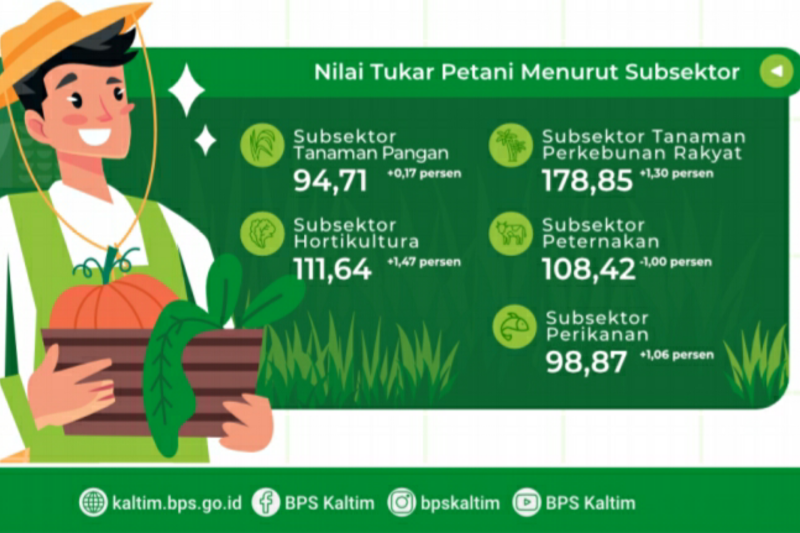 Petani perkebunan Kaltim paling sejahtera ketimbang petani lain Petani perkebunan Kaltim paling sejahtera ketimbang petani lain