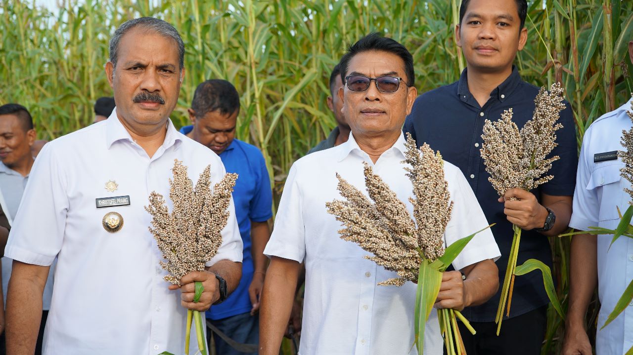 Pengamat nilai Moeldoko antisipatif dukung Presiden Jokowi jaga RI dari krisis pangan Pengamat nilai Moeldoko antisipatif dukung Presiden Jokowi jaga RI dari krisis pangan