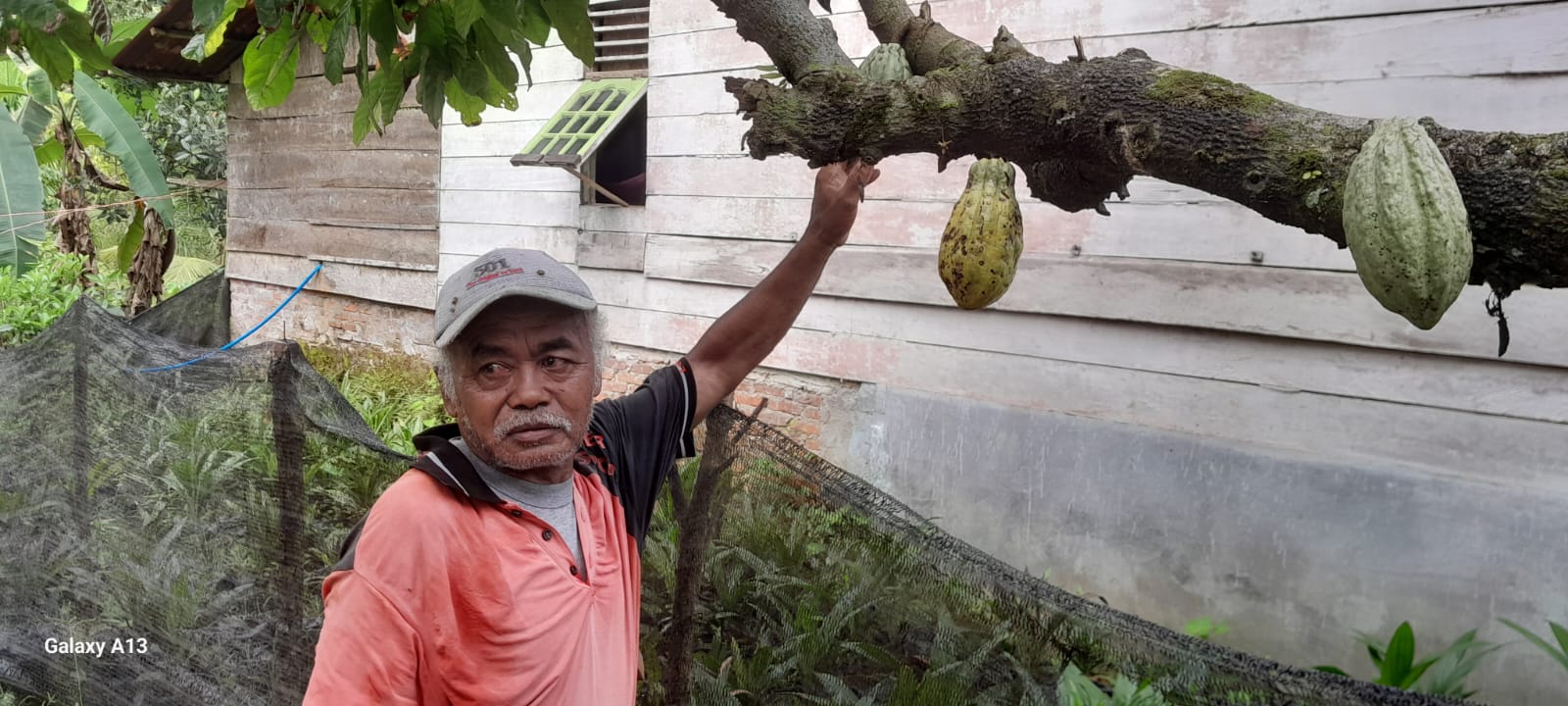 Biji coklat di Aceh Utara tembus 50 ribu perkilogram Biji coklat di Aceh Utara tembus 50 ribu perkilogram