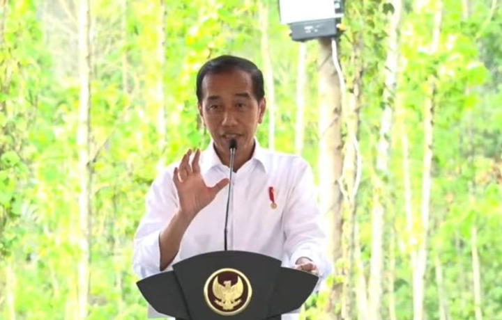 Presiden senang investor lokal berbondong-bondong investasi di IKN Presiden senang investor lokal berbondong-bondong investasi di IKN
