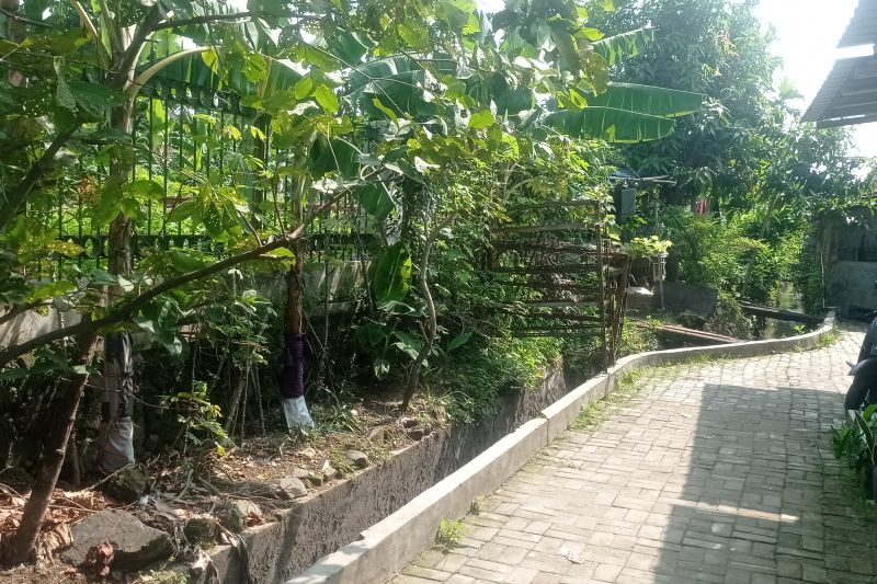 Sebagian besar Banten cerah berawan - hujan ringan pada Senin pagi hingga malam hari Sebagian besar Banten cerah berawan - hujan ringan pada Senin pagi hingga malam hari